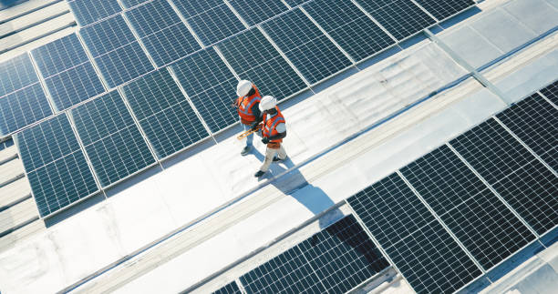 Best Roof Moss and Algae Removal  in Cross Plains, WI
